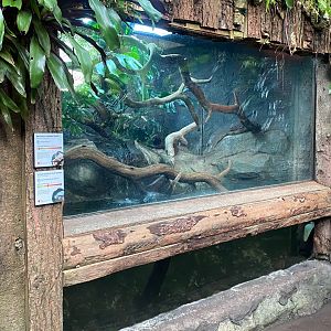Tropical Trails - Caiman lizard/Yellow-Spotted Amazon river turtle exhibit 290923