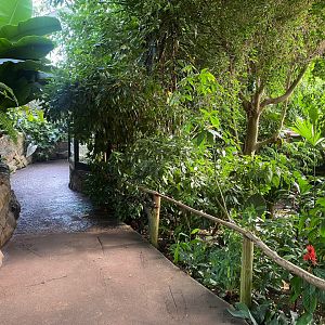 Tropical Trails 290923