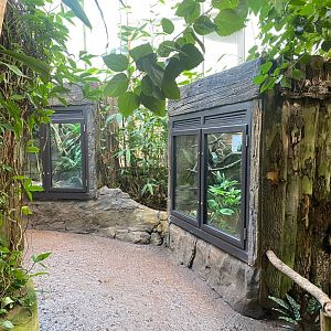 Tropical Trails 290923