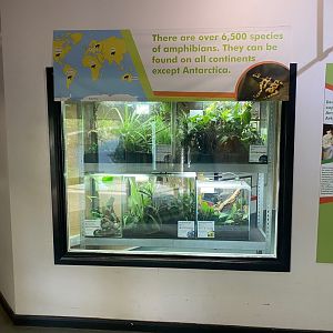 Amphibian Ark 290923