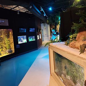 Catawba Science Center - Amazon River area