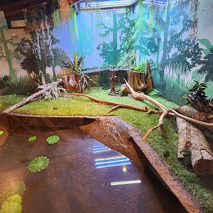 Catawba Science Center - American Alligator enclosure