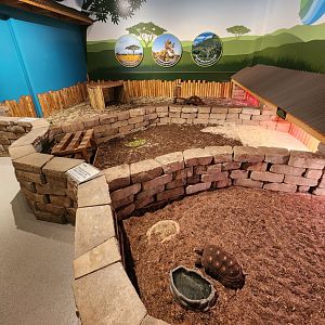 Catawba Science Center - Tortoise enclosures