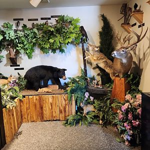 Catawba Science Center - North Carolina wilderness diorama