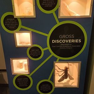 Catawba Science Center - Informative exhibit on gross science