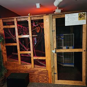 Catawba Science Center - Sugar Glider nocturnal enclosure