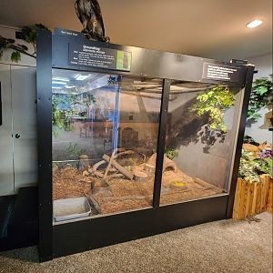 Catawba Science Center - Woodchuck enclosure