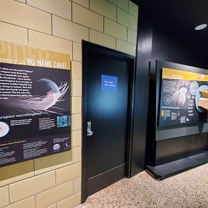 Spiders Alive! Interpretive Graphics - October 2023