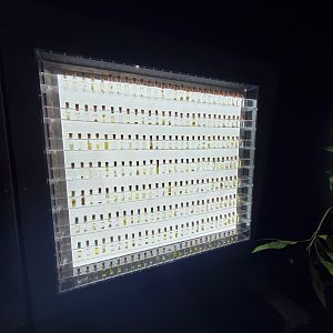 Spiders Alive! Venom Sample Display - October 2023