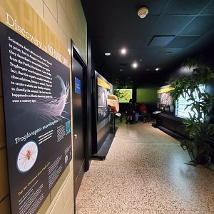 Spiders Alive! Former Nocturnal Hall/Vampire Bat Exhibit/Current Movie Theater - October 2023