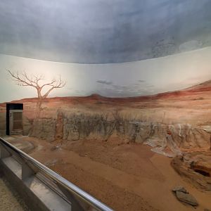 Spiders Alive! Former Aardvark/Meerkat Exhibit - October 2023