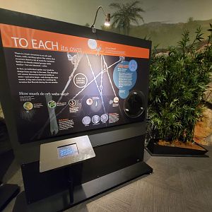 Spiders Alive! Interpretive Graphics - October 2023