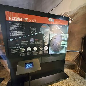 Spiders Alive! Interpretive Graphics - October 2023