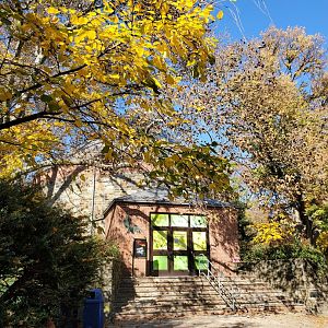 Spiders Alive! Exterior Steps - October 2023