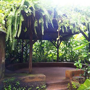 Bush - covered area, 2023-10-07