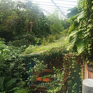 Burgers' Bush restaurant veranda and Bush vegetation, 2023-10-07