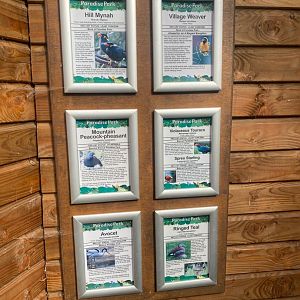 Signage example 081023