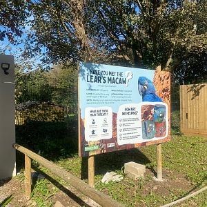 Lear’s macaw display sign 081023