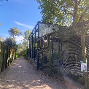 Bald eagle and European eagle-owl aviaries 081023