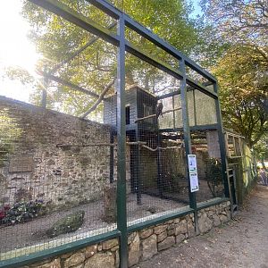 Bald eagle aviary 081023