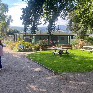 View towards Scarlet Ibis aviary 081023