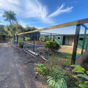 Ongoing aviary renovations 081023