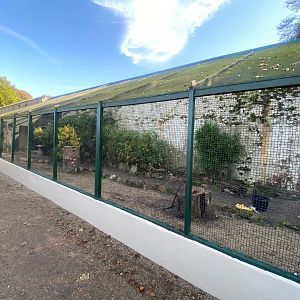 Ongoing aviary renovations 081023