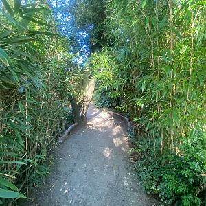 Walkway towards parrots and Golden eagle 081023