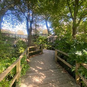 Walkway towards parrots and Golden eagle 081023