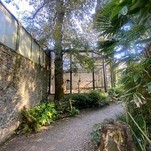 View towards Kea aviary 081023