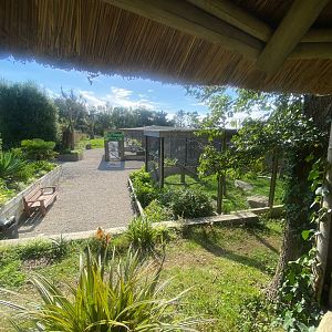 View towards newer aviary complex 081023
