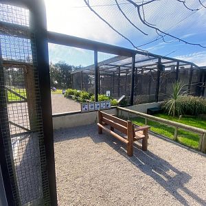 Walkthrough aviary 081023