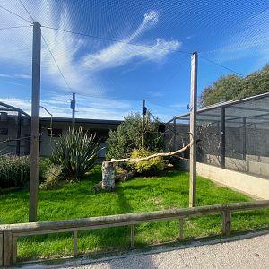 Walkthrough aviary 081023