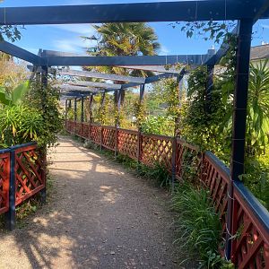Walkway from Golden eagle aviary towards rest of park 081023