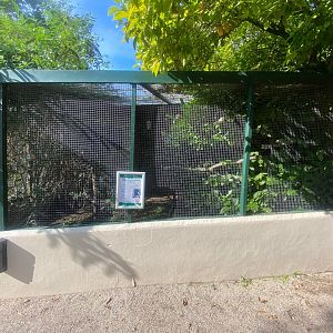 Red-tailed black cockatoo aviary 081023