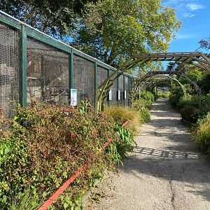 Walkway besides more parrot aviaries 081023