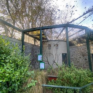 Rainbow lorikeet aviary 081023
