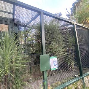 Bali myna aviary 081023