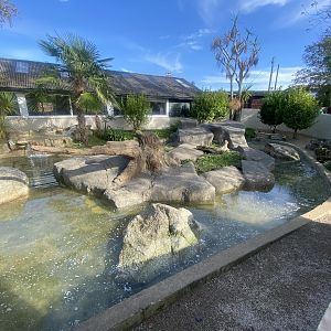 Asian small-clawed otter enclosure 081023