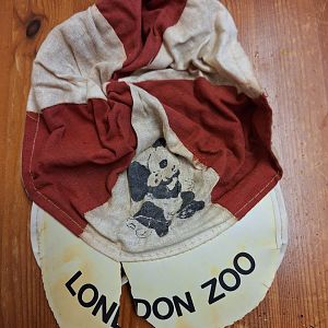 ZSL London Zoo cap