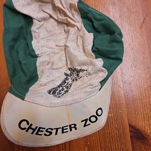 Chester Zoo cap