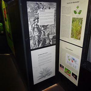 Fjärilshuset - Butterfly house - Mosquito/malaria exhibition