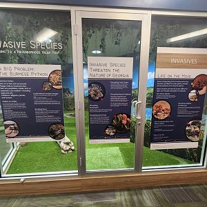 Center For Wildlife Education (GA) - Invasive species exhibit signage