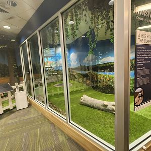 Center For Wildlife Education (GA) - Burmese Python enclosure