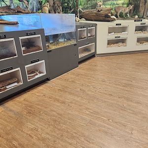 Center For Wildlife Education (GA) - Native reptile exhibits