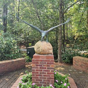 Center For Wildlife Education (GA) - Statue in raptor center