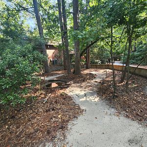 Center For Wildlife Education (GA) - Turtle walkthrough exhibit