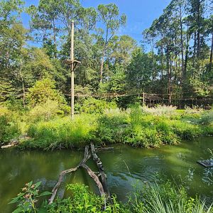 Center For Wildlife Education (GA) - Waterfowl aviary