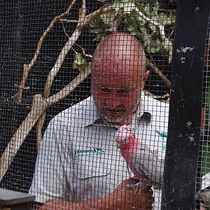 Taronga 2012 - Galah - Old Education Centre