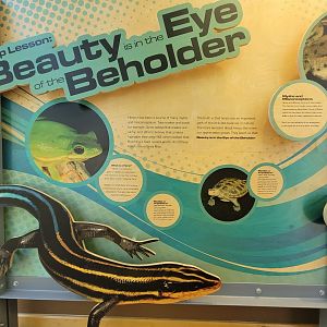 Killen's Pond Nature Center - Exhibit entrance sign